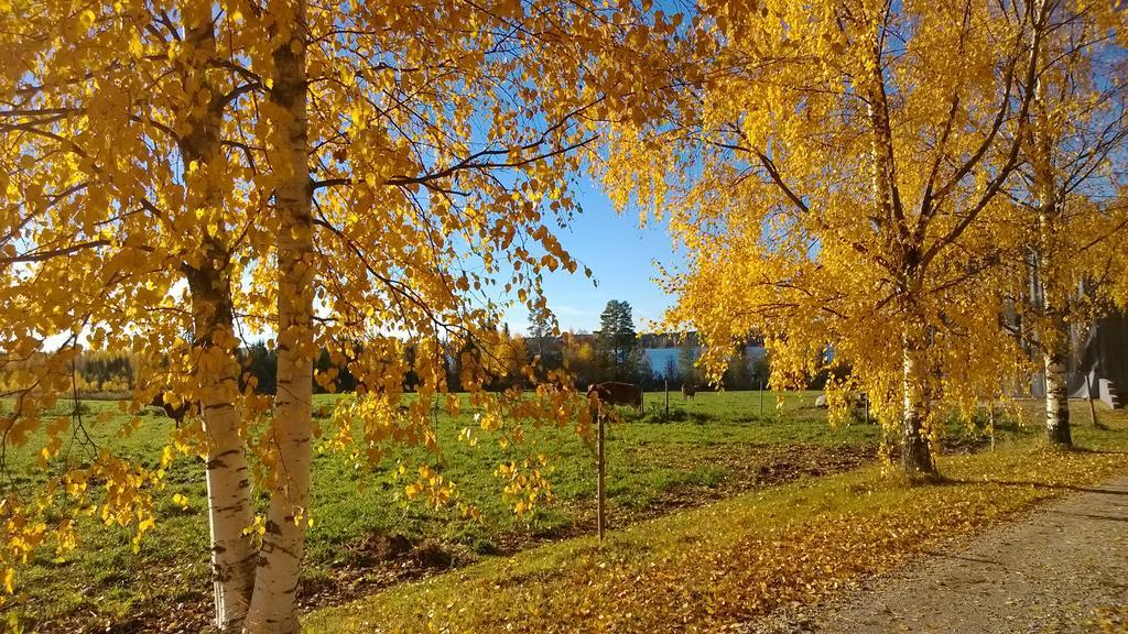 Ferienwohnung Matkailutila Lahdelma Pertunmaa Exterior foto